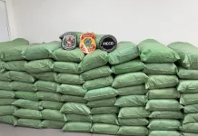 Homem é preso com meia tonelada de maconha em caminhão em Água Branca